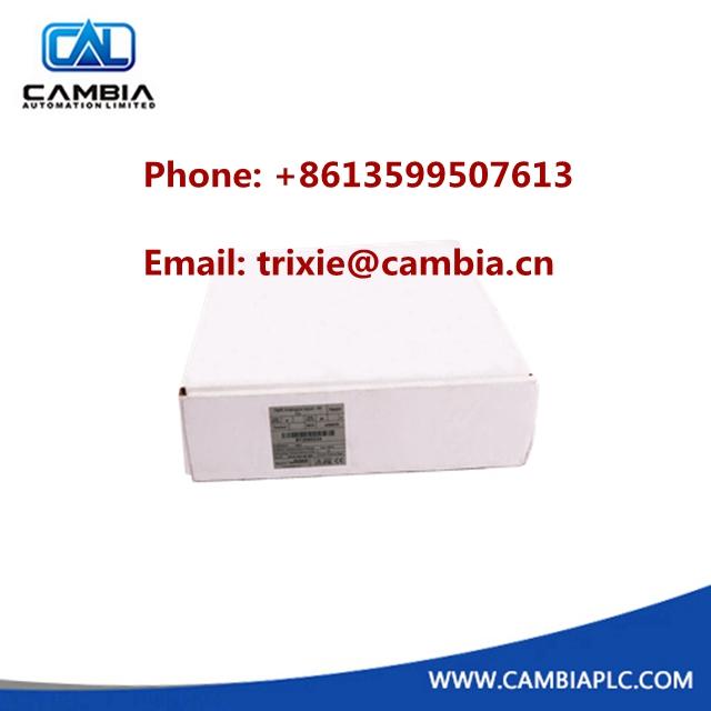 ICS Triplex T8833 20 channel Isolated AI/DI FTA